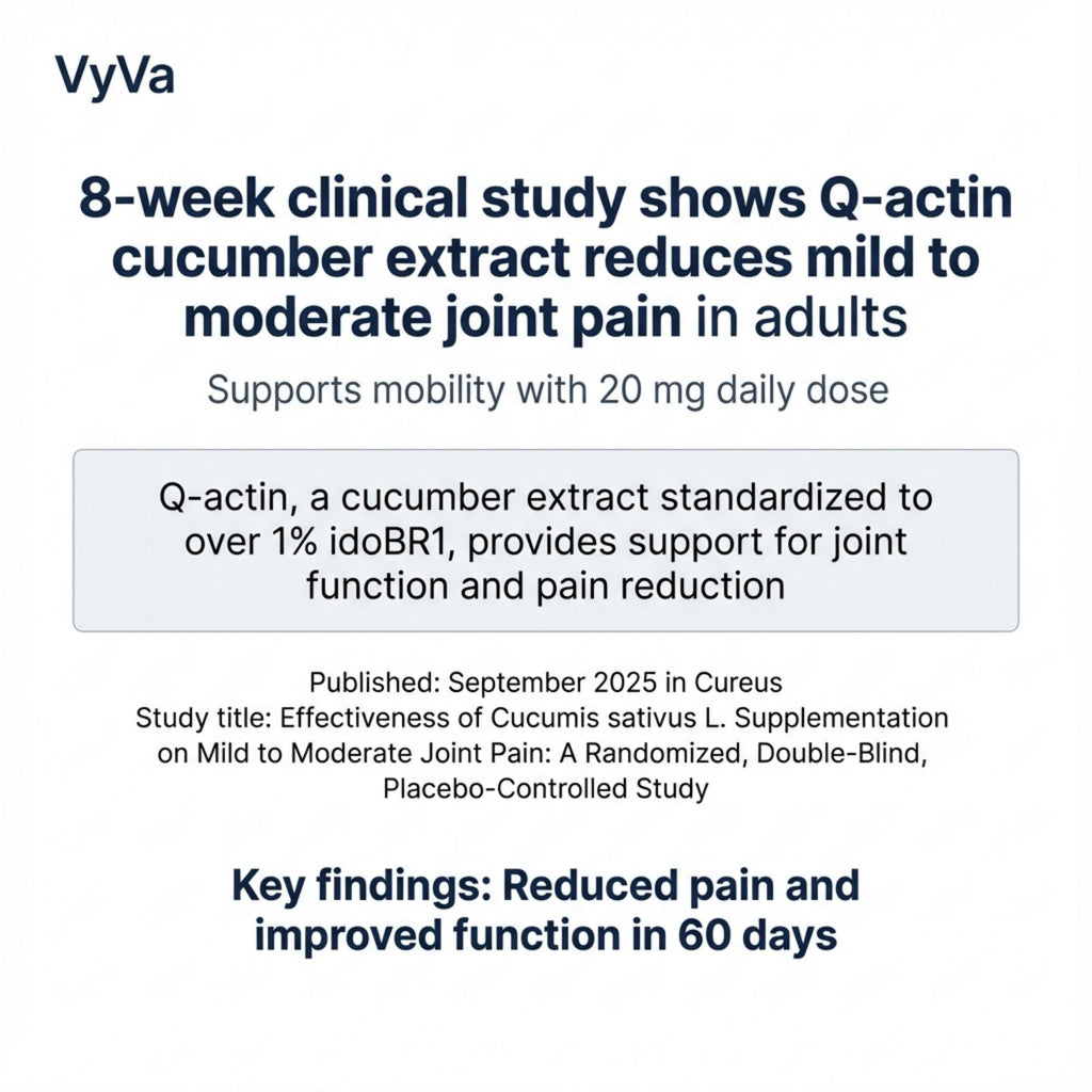 Cambodian Premium Bone Straight Bundles - Club Hairitage