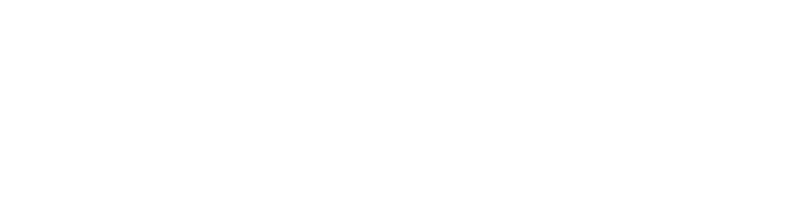 Hairdentity